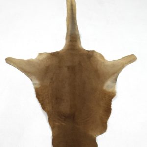 Kangaroo Skin Rug (Medium)